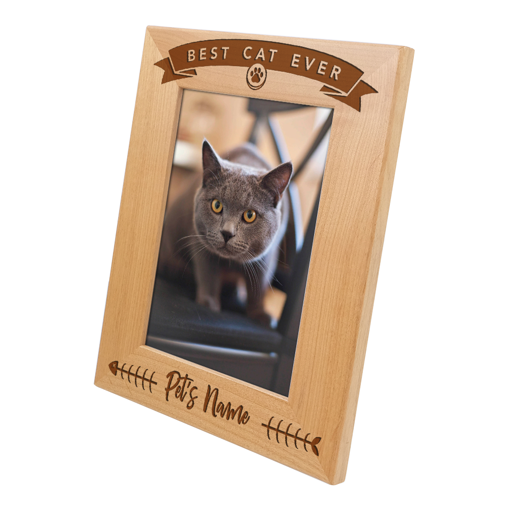"Best Cat Ever" Customized Frame